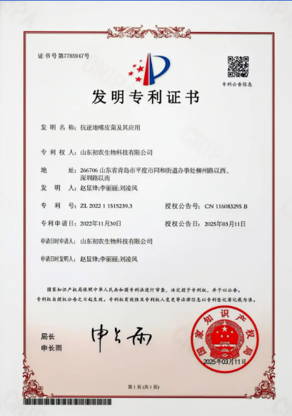 1744173495200455.png image.png