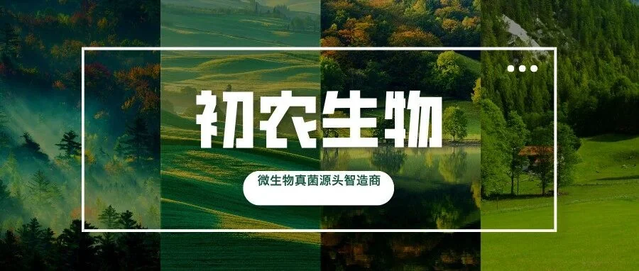 甘肃宣烨农机服务农民专业合作社:用“微生物”和“有机肥”让马铃薯产量大幅提高