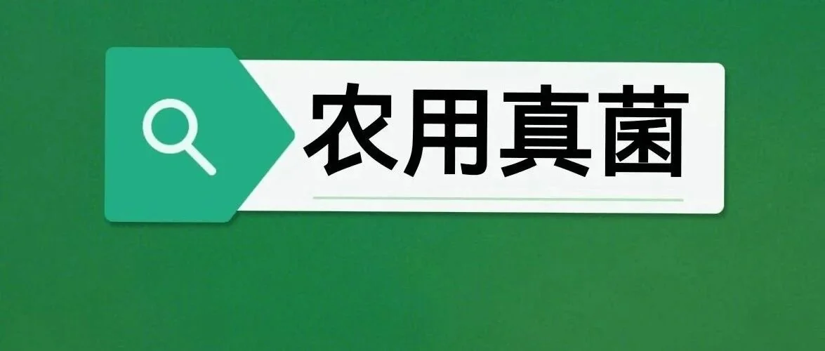 高标准农田的土壤修复:刻不容缓的绿色使命