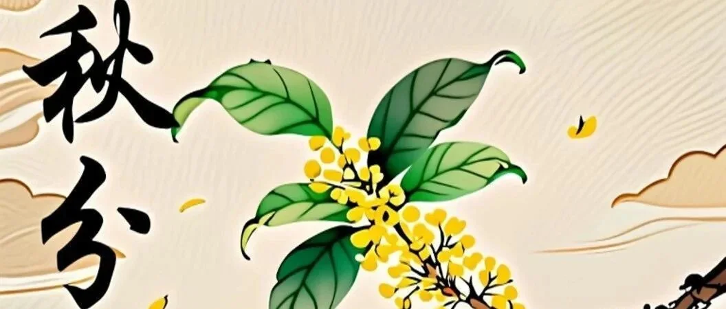 秋分至,丰收时 —— 农事里的秋分智慧