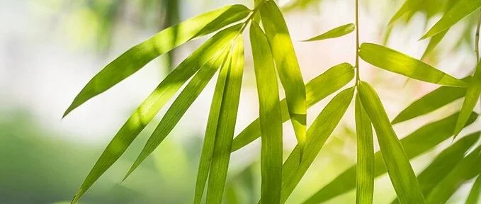 清明时节话农事,春耕春种正当时