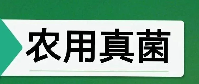棘孢木霉菌与枯草芽胞杆菌共培养菌液:烟草黑胫病防治的新突破