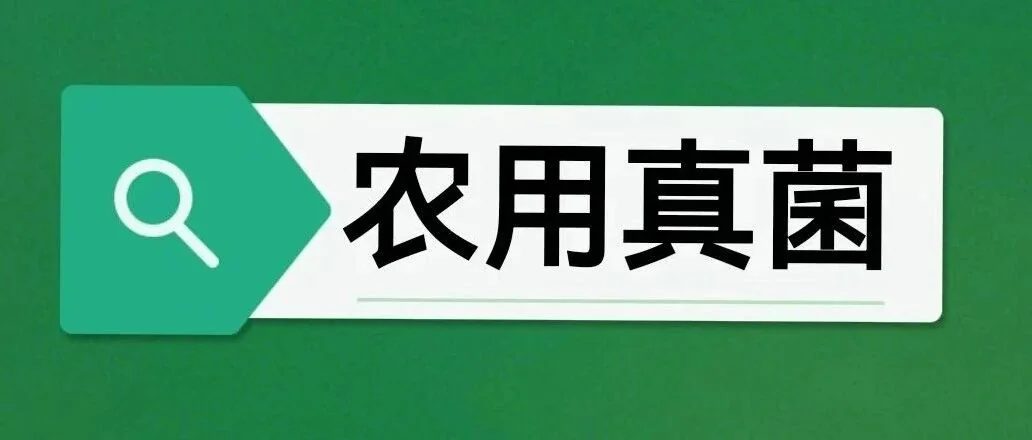 微生物技术破解瓜类连作难题,初农方案让风味“重返自然”