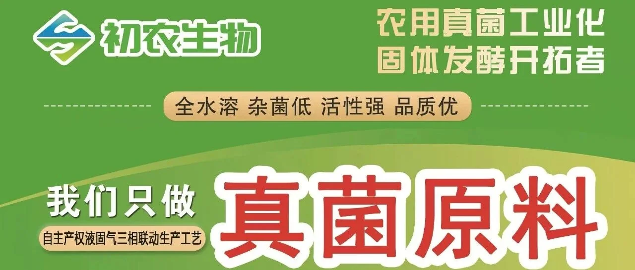高温菌剂协同作战:初农生物闷棚技术破解大棚连作困局