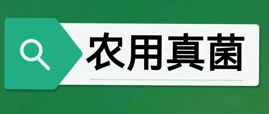 古法农作体系升级实践:微生物技术助力农业文化遗产地生态转型