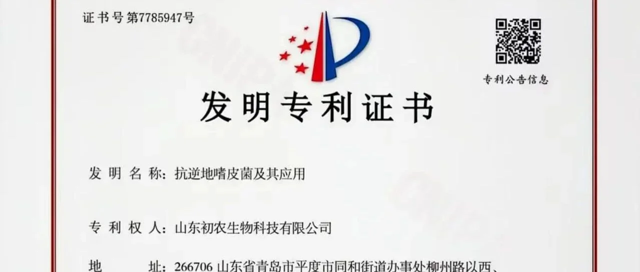 抗逆地嗜皮菌:初农生物解锁生态修复的“新钥匙”专利技术