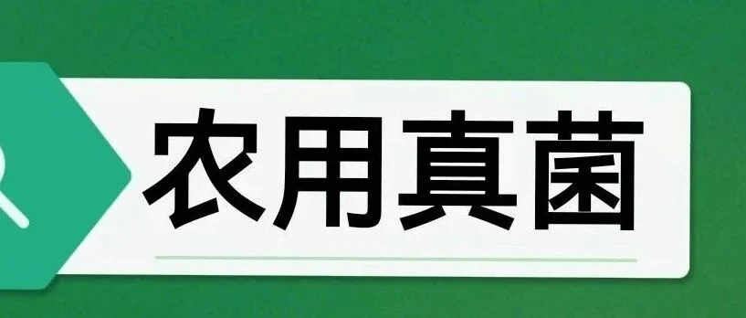 球孢白僵菌:松材线虫防治的新“利器”