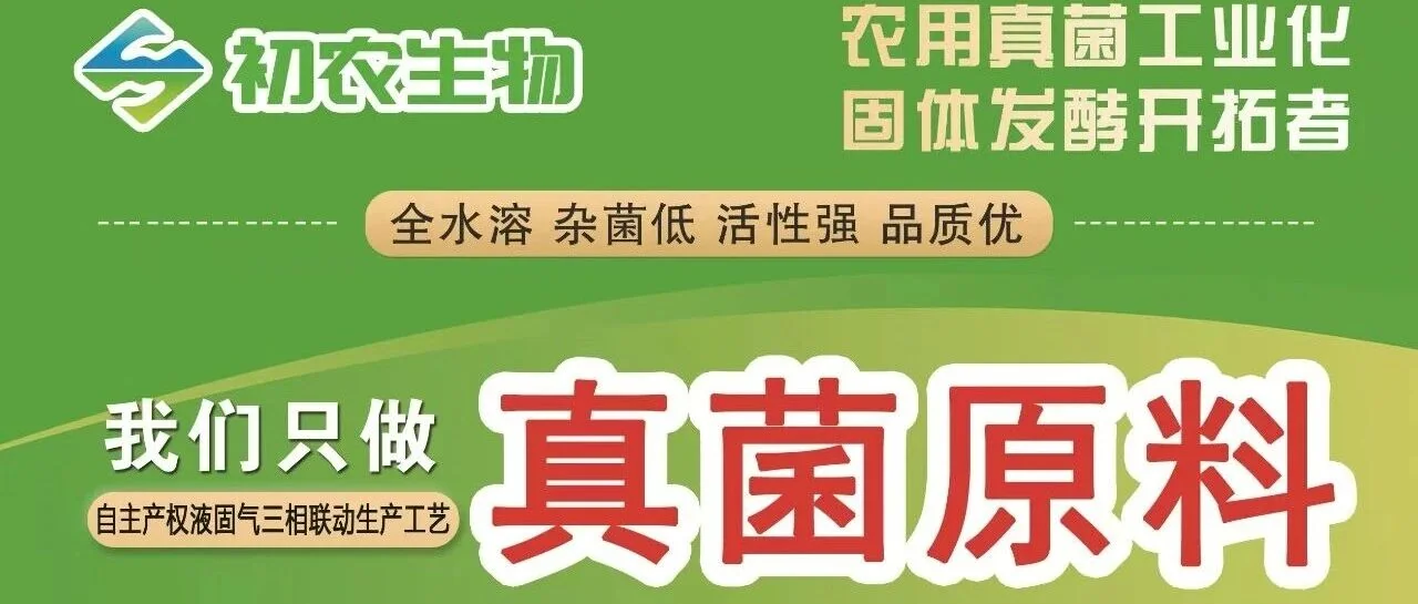 住在体内与根下的真菌,如何默默守护植物生长?