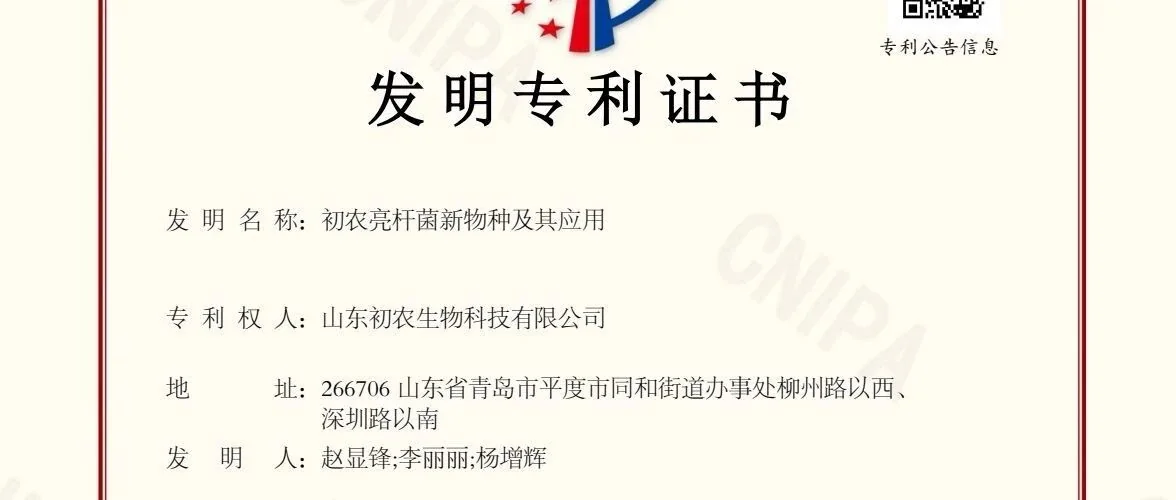 初农亮杆菌:开启植物生长与抗逆的“绿色引擎”