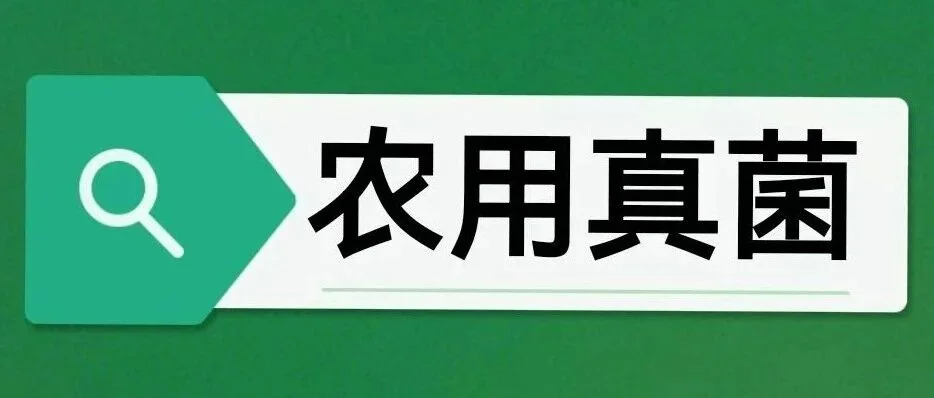 从浙江梅林村看乡村旅游新趋势,初农微生物真菌助力诗意田园