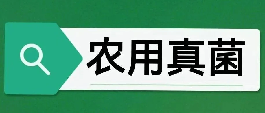 初农生物:用微生物科技开启生态茶园新时代