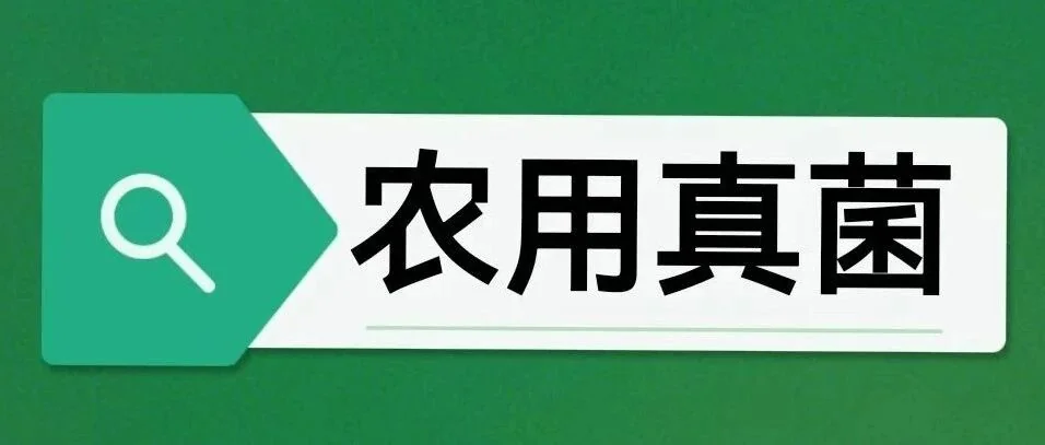 真菌防治松材线虫:绿色防控的三重策略与广阔前景