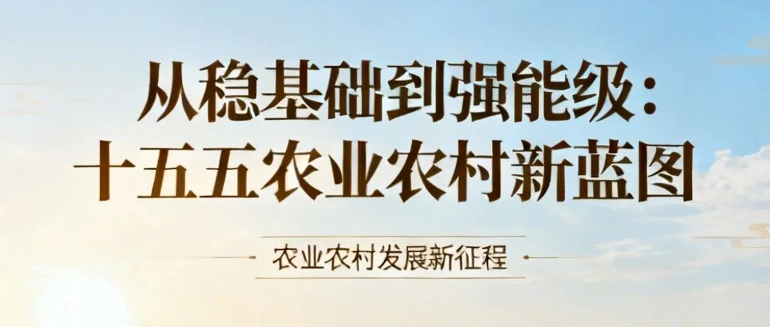 从“稳基础”到“强能级”:十五五农业农村,这些重大变化看懂未来5年