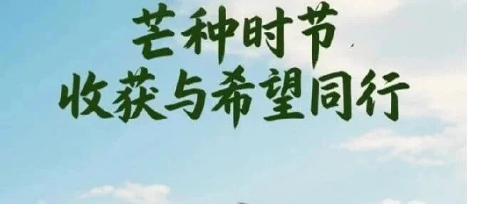 芒种:收获与希望并存