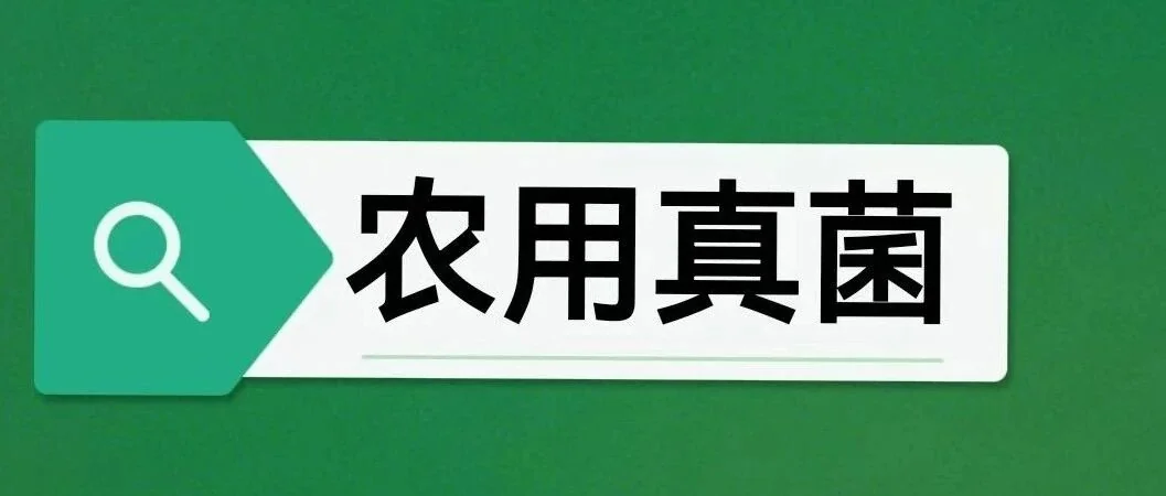 立夏时节,农事正忙,丰收在望