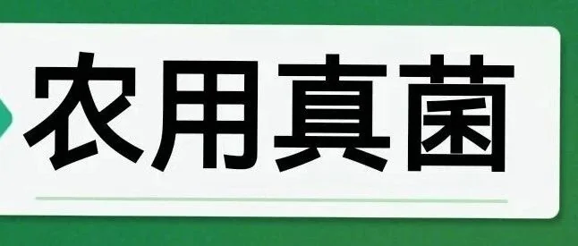爪哇虫草菌:一种新型绿色防控介壳虫的“生物武器”!